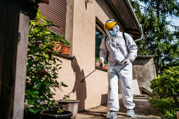 Wildlife Control Services in Endicott, NY