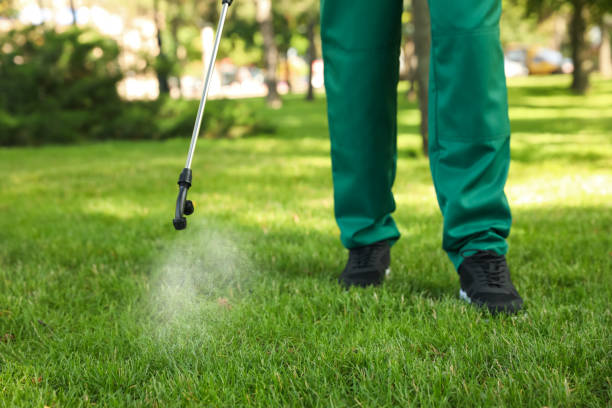 Best Residential Pest Control  in Endicott, NY
