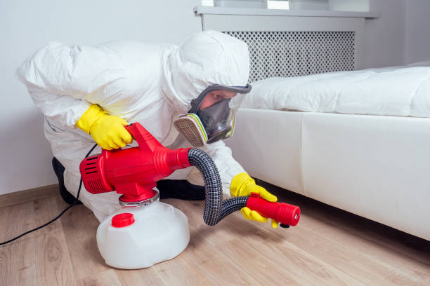 Reliable Endicott, NY Pest Control Solutions